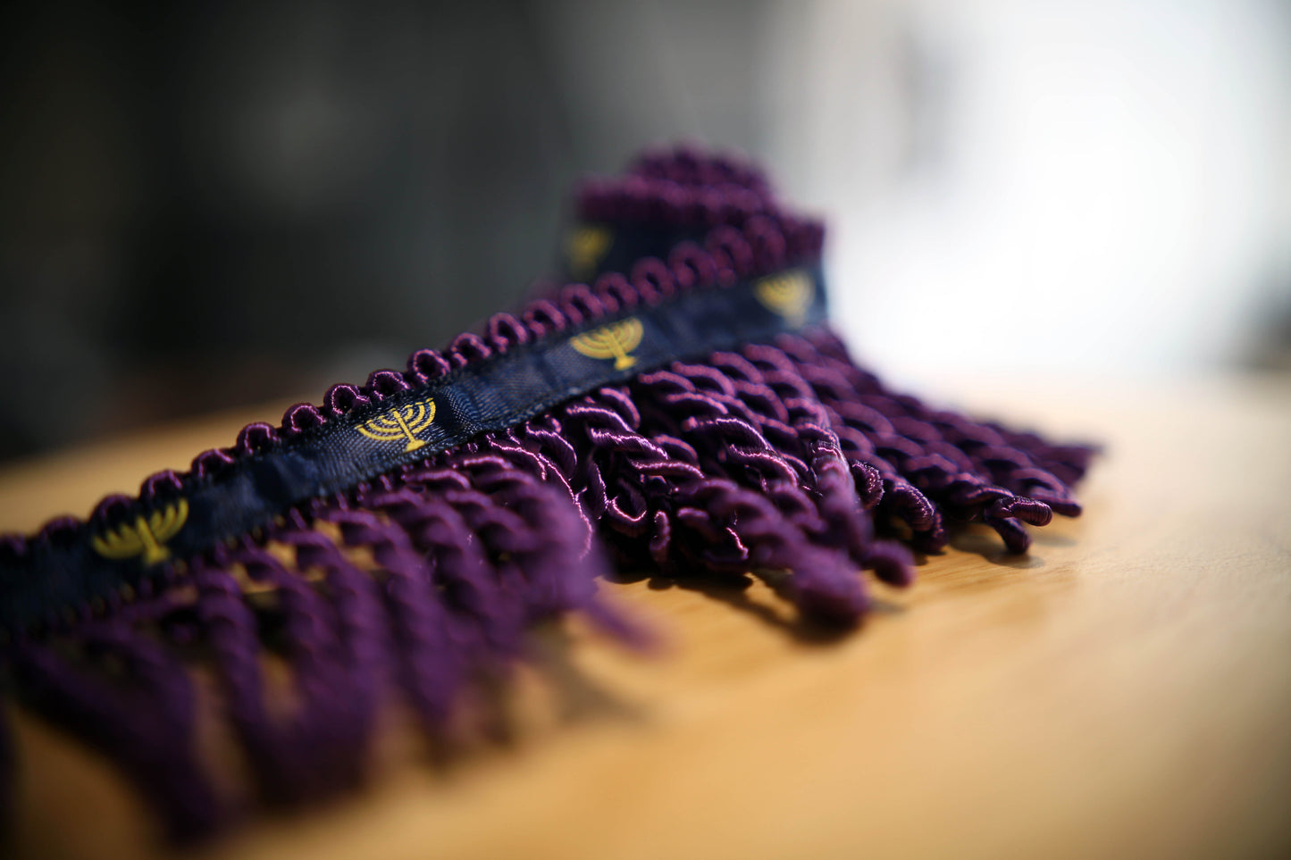 Royal Purple Bullion Fringe with Navy Blue Border - Israelite Garment Trim